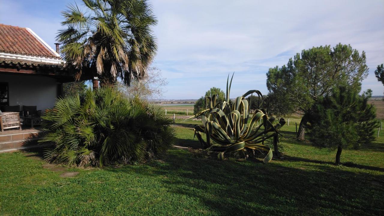 Lodge Monte Do Sobral Alcacovas Экстерьер фото